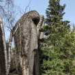 Broumovsk stny