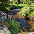 umava - Modravsk potok