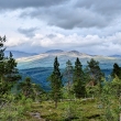 NP Junkerdal