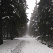 Krkono�e