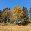 Jizersk hory - Kristinov