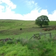 Lake District