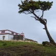 maj�k San Isidro