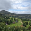 Jedlov z Toltejna