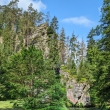 esk vcarsko - Kamenice