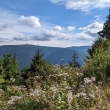 Prad�d z Dlouh�ch Str�n�