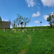 Psteek nad Hornmi Albeicemi