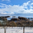Vizovick� vrchy