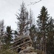 Broumovsk stny