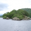 Coniston Lake - Ostrov divokch koek