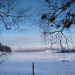 �umava - Nov� Hut�