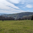Moravsk Kopanice - dkov