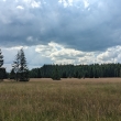 Novohradsk hory - louky u Pohoskho rybnka