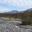 �v�dsko - NP Abisko
