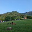 podve�er v Jizerk�ch