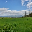 Rchory
