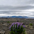 Hekla