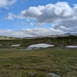 NP Sulitjelma