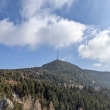 Jetd z vyhldky erven kmen