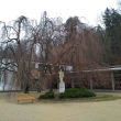 Luhaovice