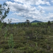 umava