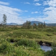 �v�dsko - NP Abisko
