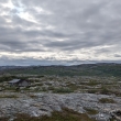 Narvik