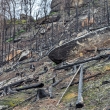 esk vcarsko