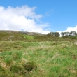 Glen Affric