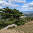 mirador Cerro Dorotea
