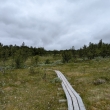 NP Rondane