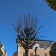 Bad Ischl