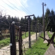 Buina