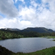 Glen Affric