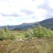 Glen Affric