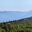 Krkonoe