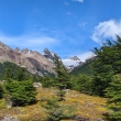 Sendero al Fitz Roy