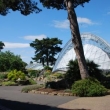Kew gardens
