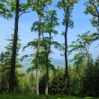 K�ivokl�tsko - pod Hudlick�m vrchem