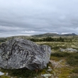 NP Rondane