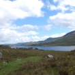 Glen Affric