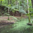 Stedn Povltav