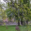 Pam�tn�k ze �idl� na pam�tku deportovan�ch norsk�ch �id�