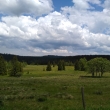 umava