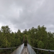 NP Stabbursdalen