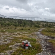 NP Stabbursdalen