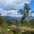NP Sulitjelma