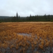 Jizerka