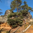 �esk� r�j - P��hrazsk� sk�ly, vyhl�dka ze Star�ch Hrad�