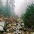 Krkono�e